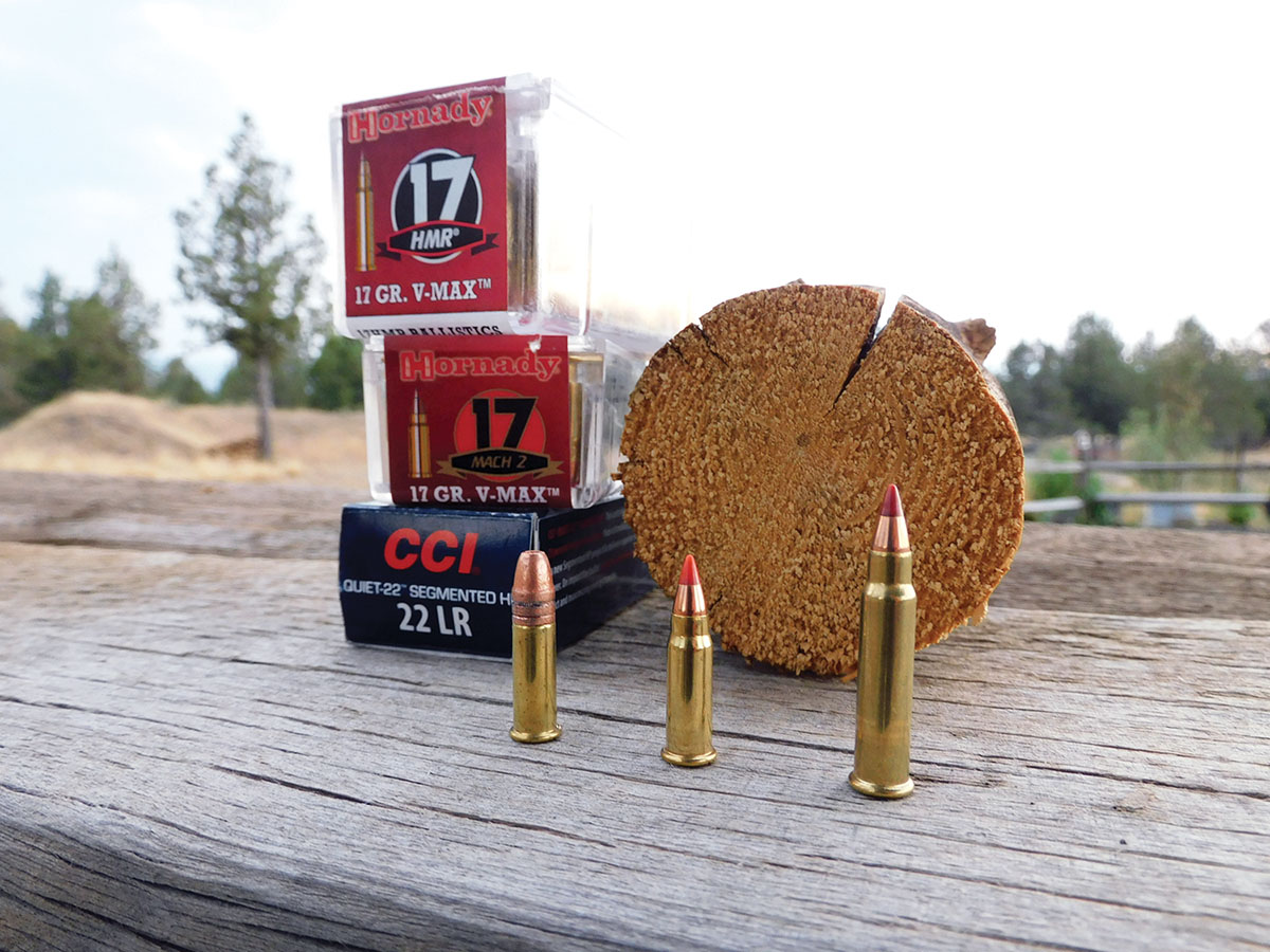 Following in the footsteps of the 17 HMR came the 17 Mach 2 (center). Based on the CCI Stinger case, it is capable of 2,100 fps.